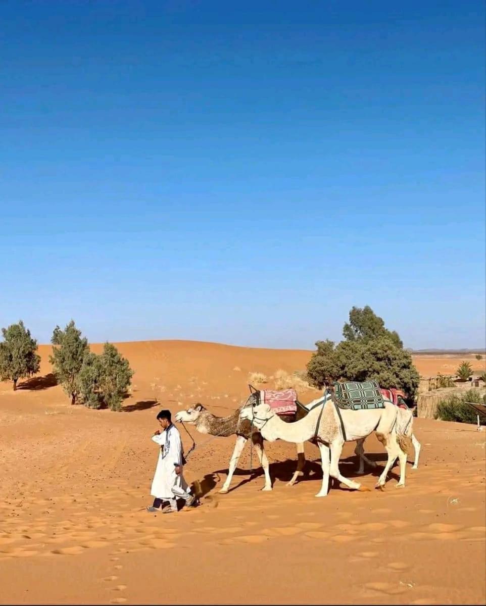 Tikida Camp By Tinfou Hotell Zagora Exteriör bild
